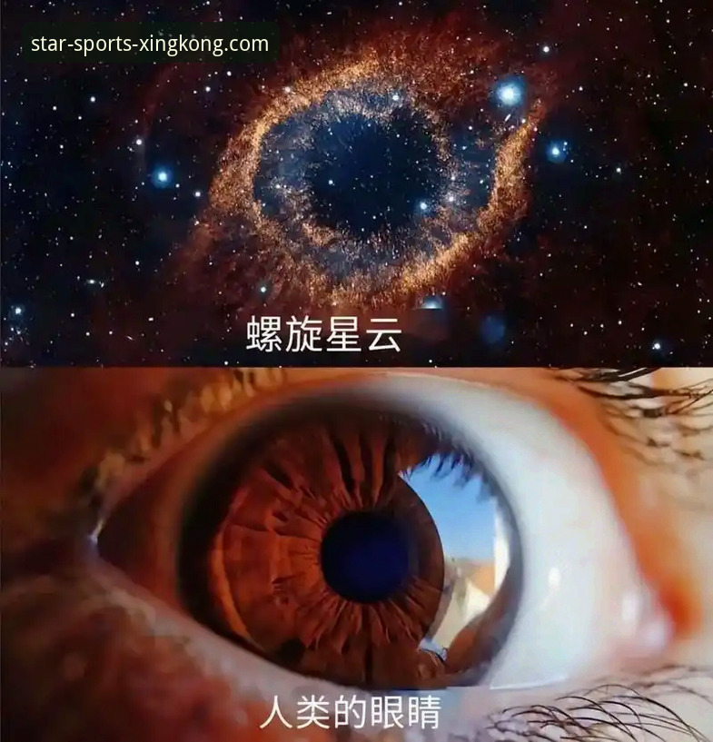 星空体育安卓版安装包全面解析：移动端体育体验的演进与未来